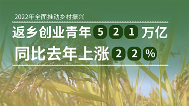 长城振兴农村发展建设农业数据展示视频ae模版视频的预览图