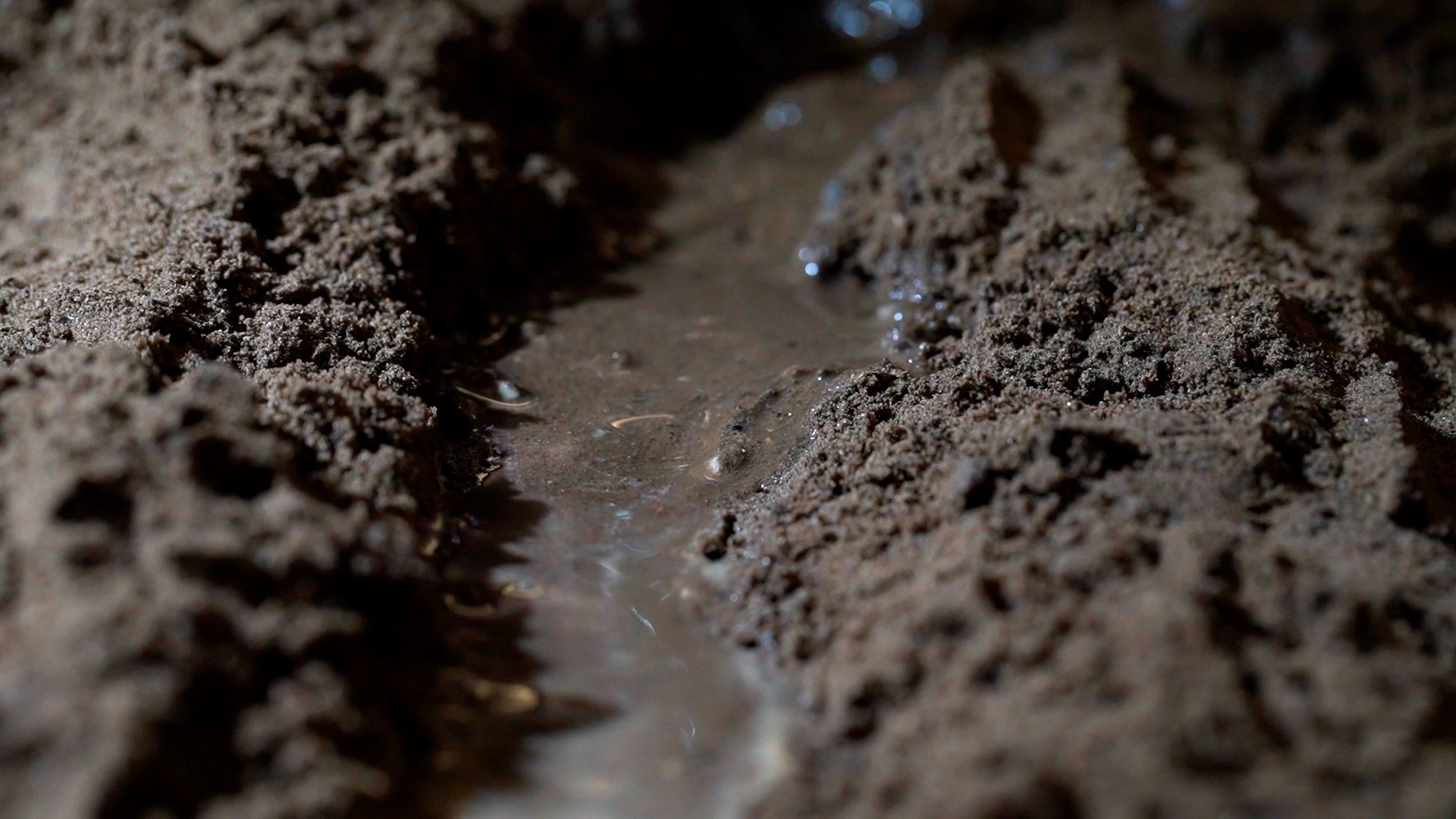 土壤土地播种雨水浇水实拍升格视频视频的预览图