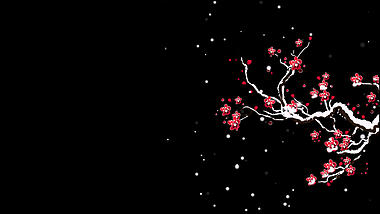 立冬冬天梅花下雪雪花下落中国风红色挂件装饰冬天冬季视频的预览图