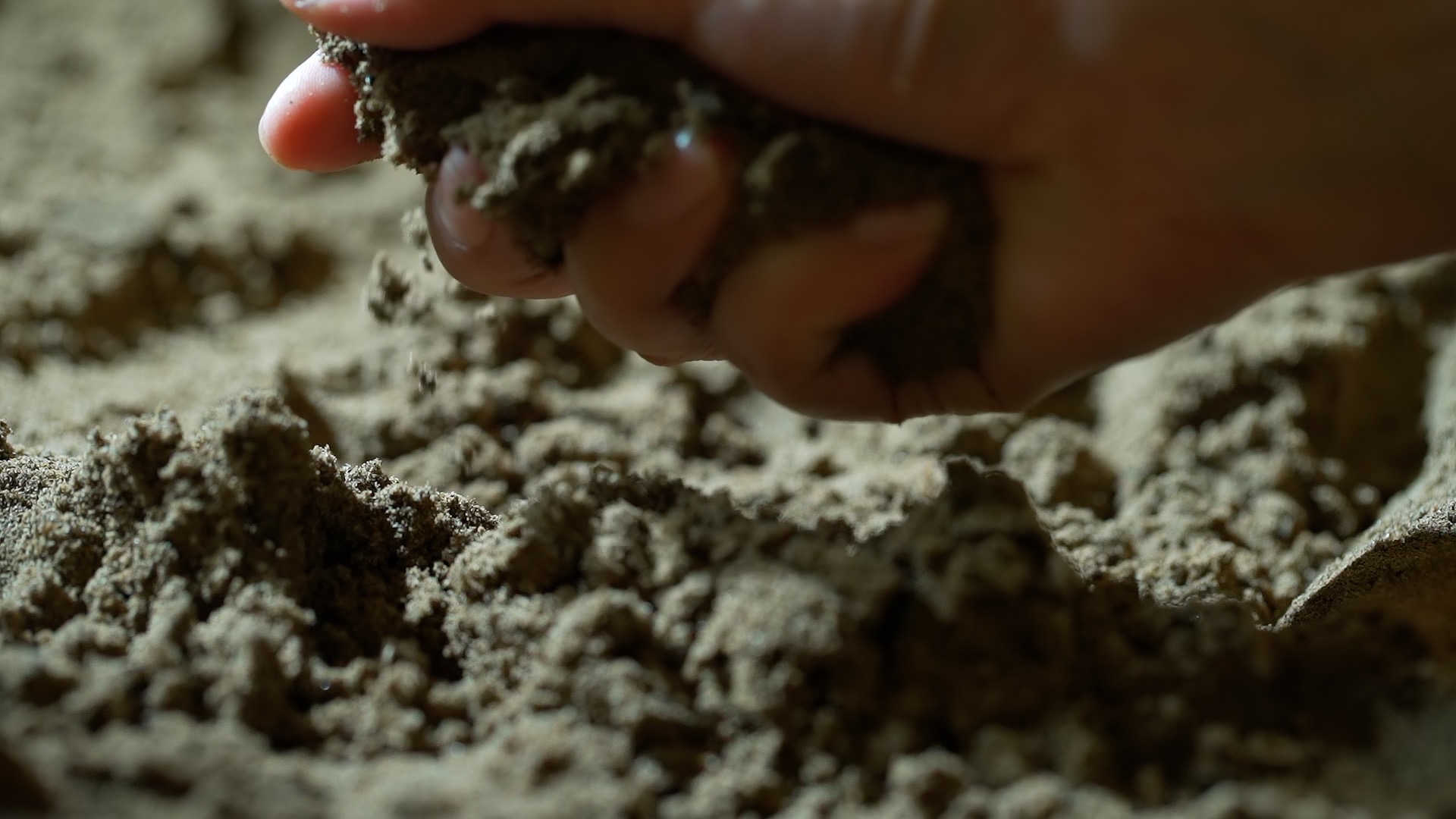 手抓土壤播种特写升格视频1080视频的预览图