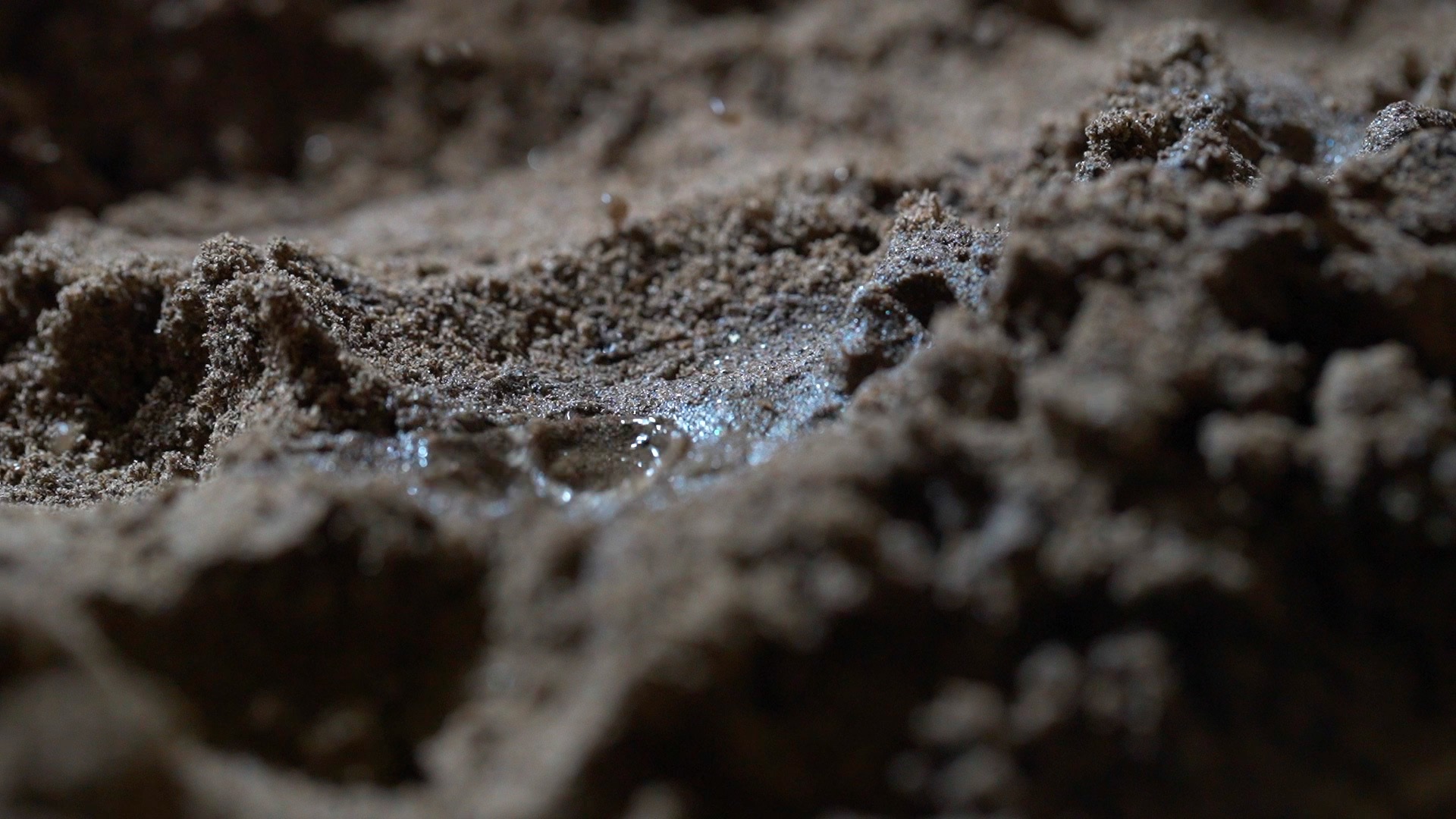 土壤土地水滴落下播种升格实拍视频1080视频的预览图