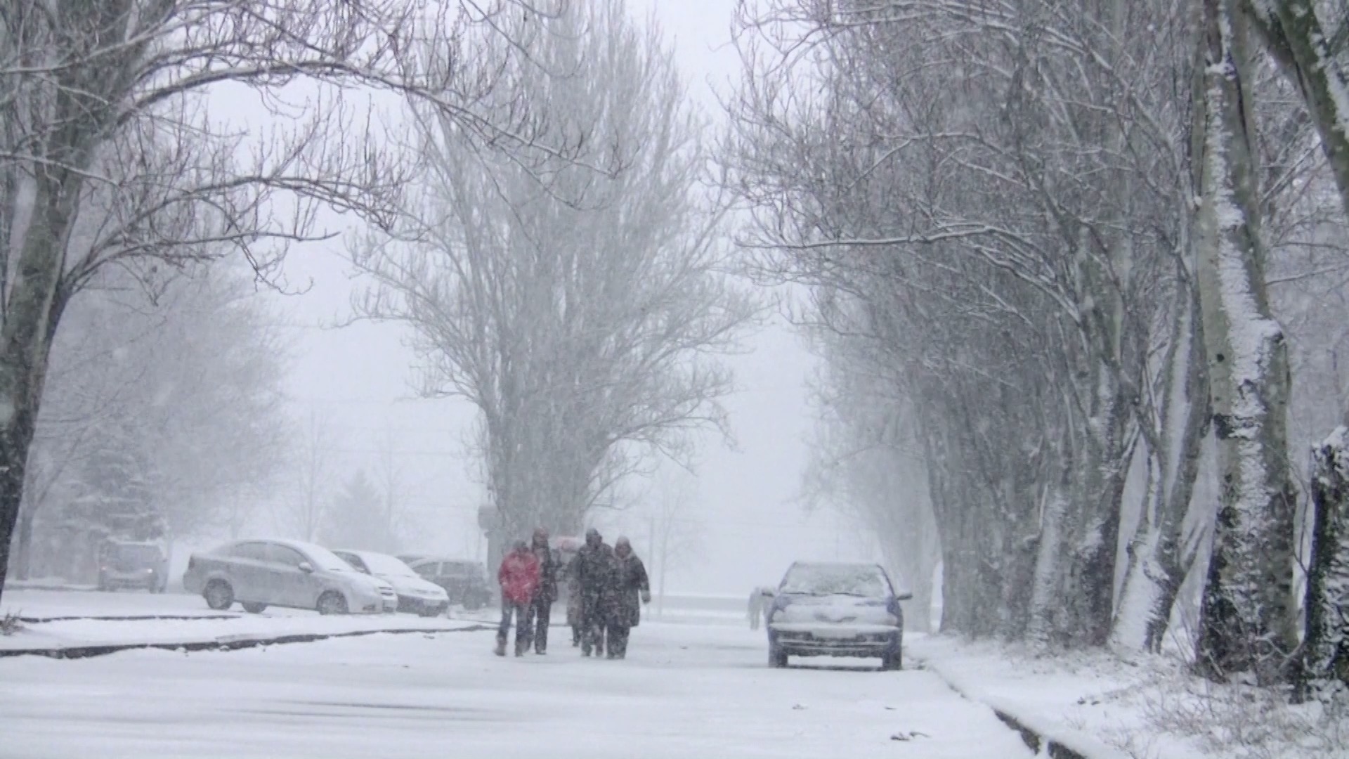 冬天大雪中走路的人群实拍视频1080视频的预览图