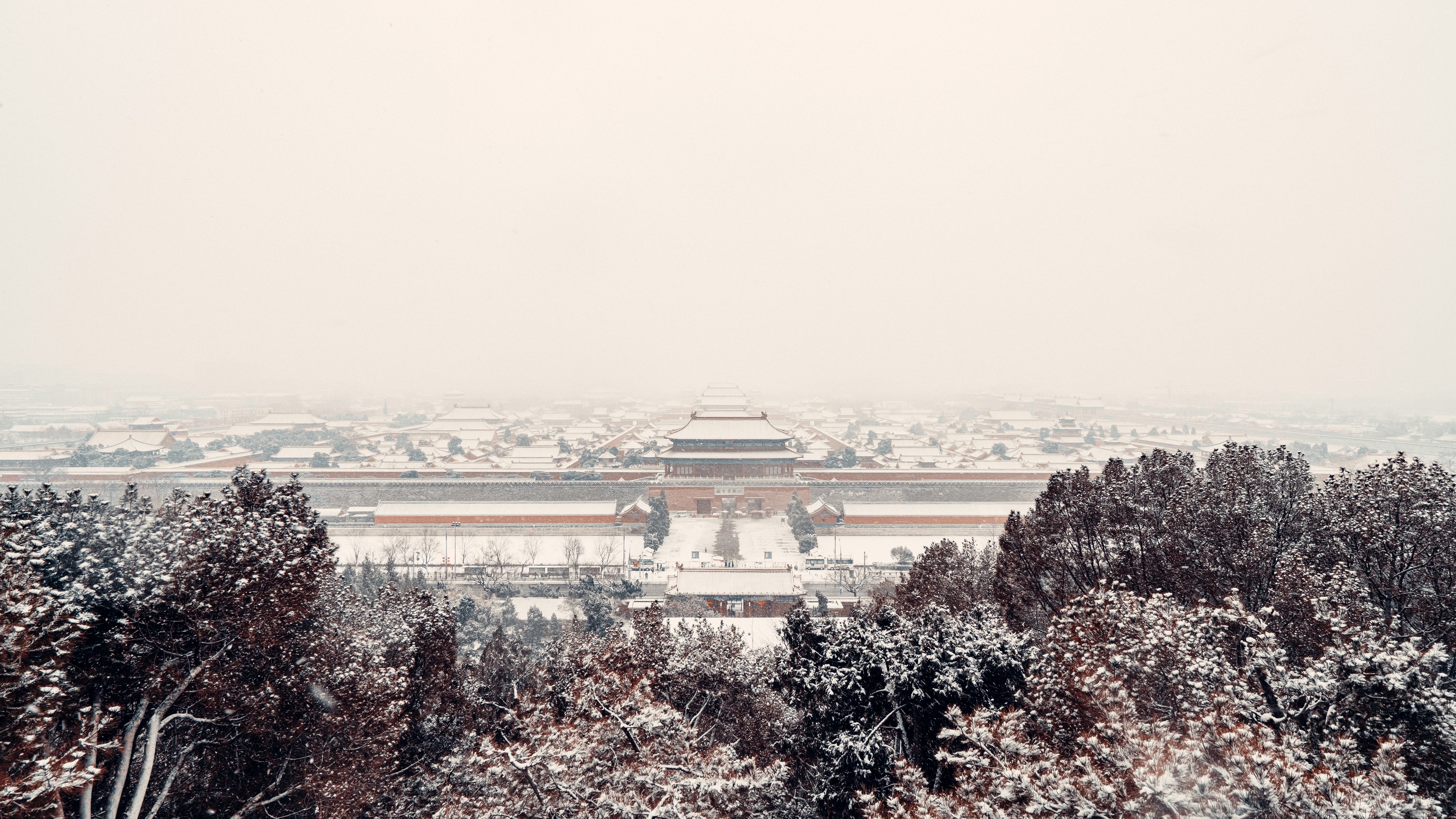 8K大气延时北京紫禁城故宫大雪飘飘视频的预览图