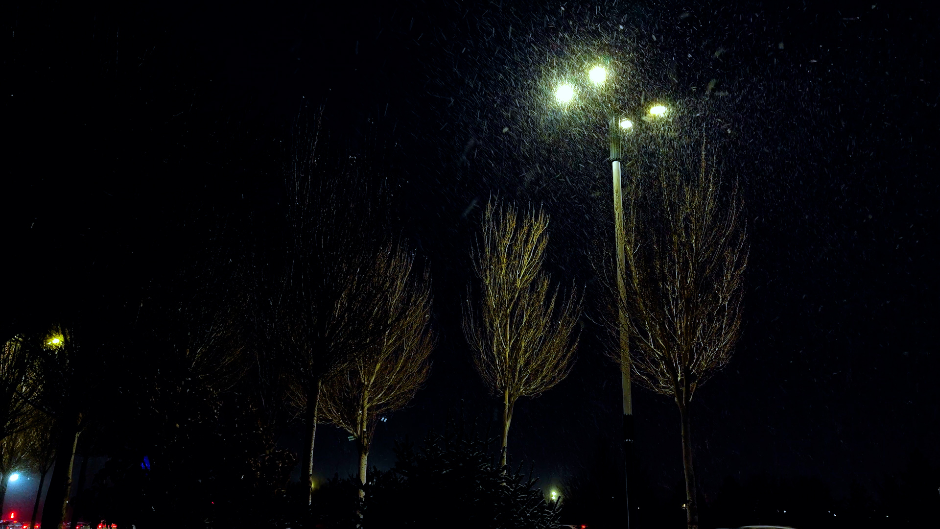 4k大雪飞舞中孤单冷清的路灯实拍视频视频的预览图