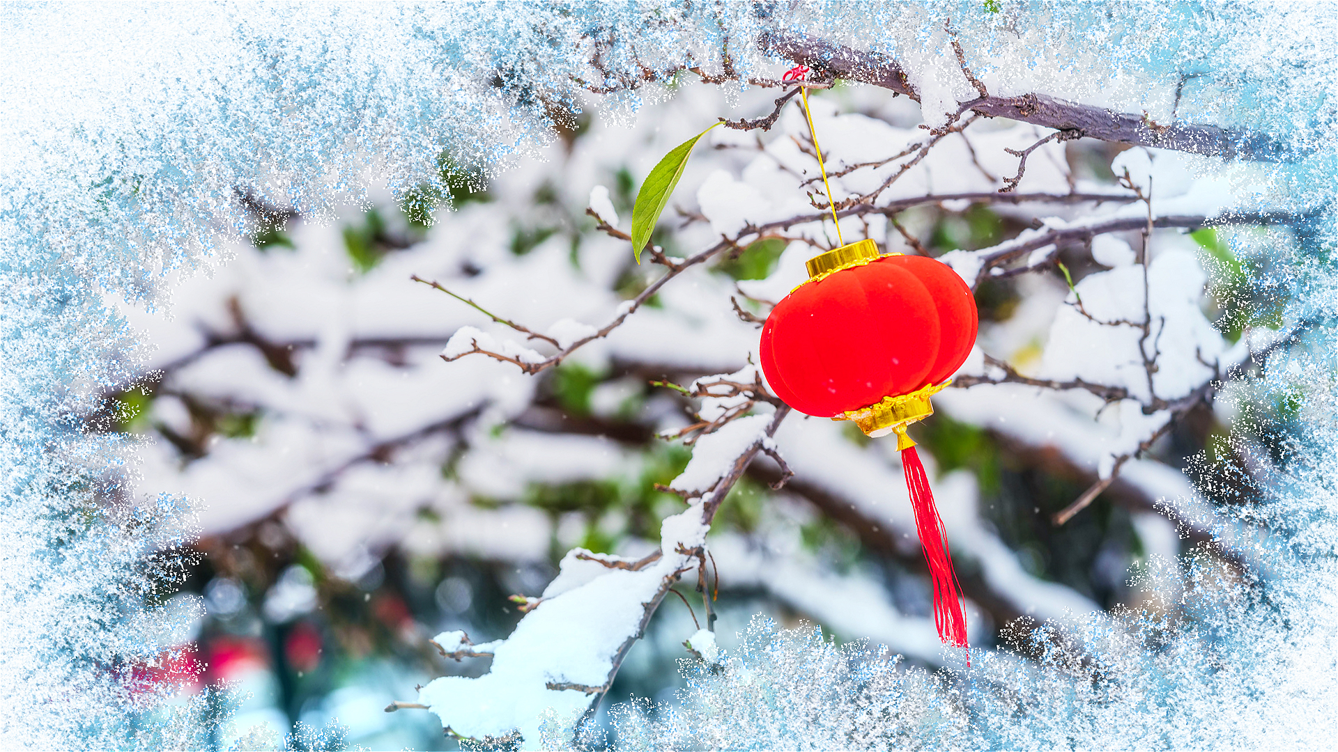 新年春节元旦冰雪风格相册图文视频ae模板视频的预览图