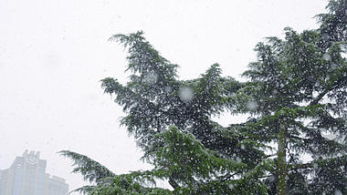 4K暴雪降雪唯美冬天冬季空镜视频的预览图