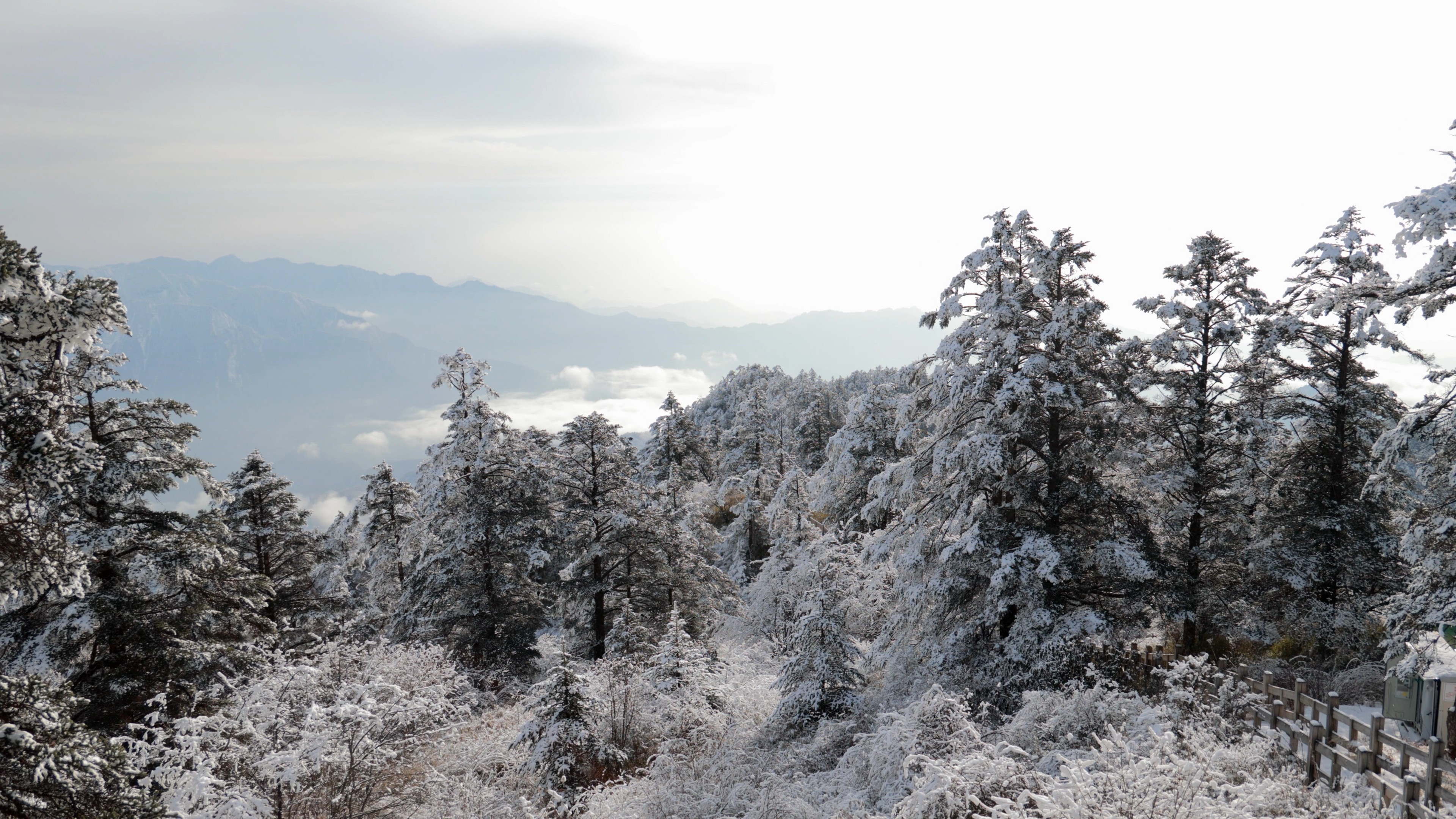 4K实拍冬季西岭雪山山林风光雪景视频素材视频的预览图