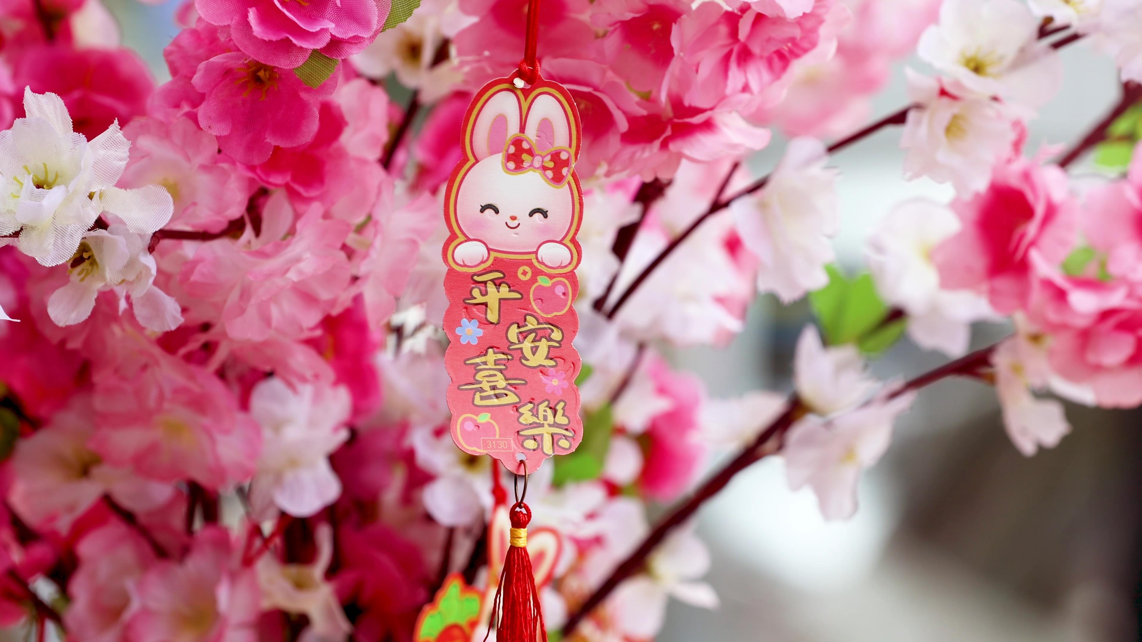 2023兔年新年春节挂饰装饰年味视频视频的预览图