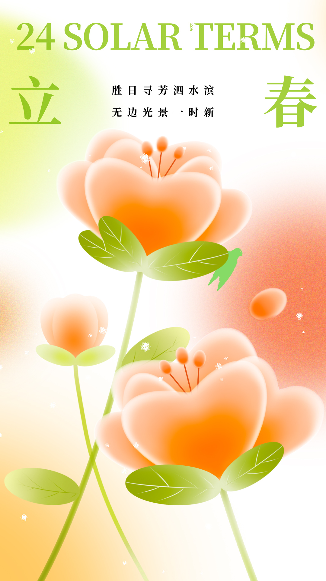 原创竖版橙色弥散风立春节气花朵花开清新动态竖屏海报ae模版视频的预览图