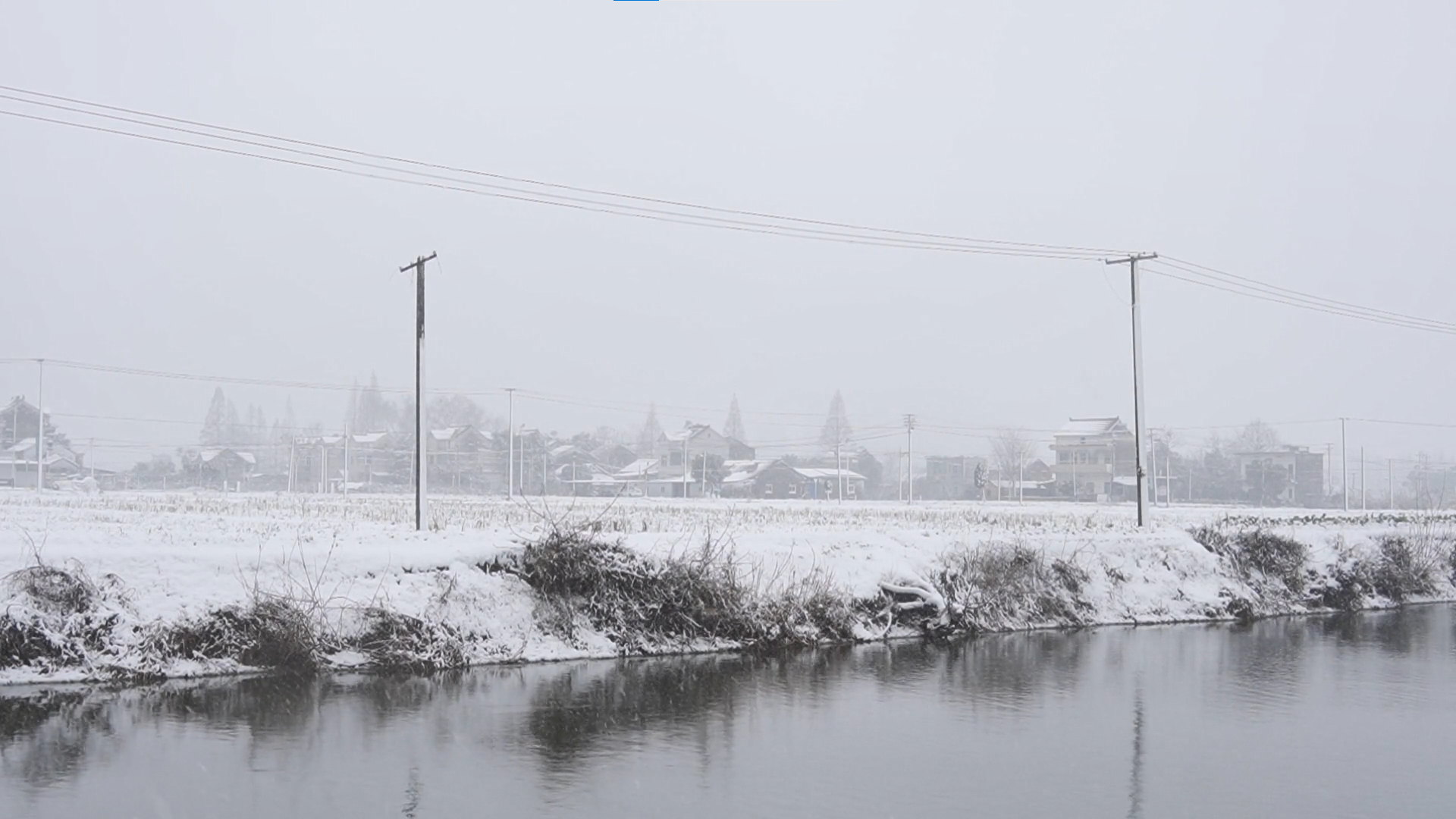 1080冬天农村田野雪花下雪大雪白雪皑皑视频的预览图
