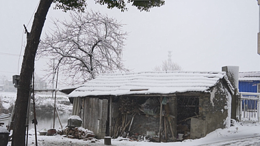 1080冬天被雪覆盖的农村老房子飘雪视频的预览图
