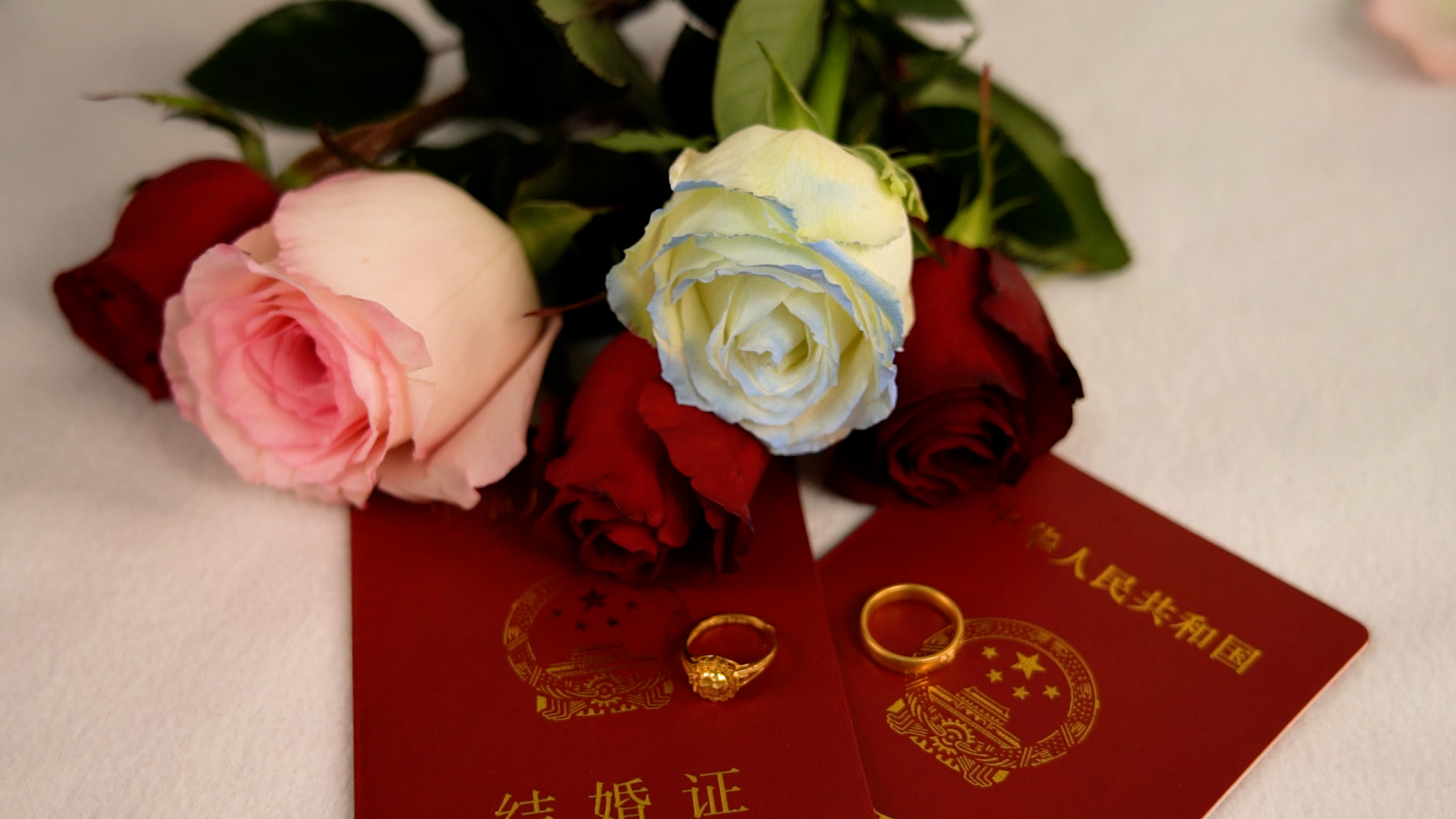 4K情人节玫瑰花结婚证光影升格视频视频的预览图