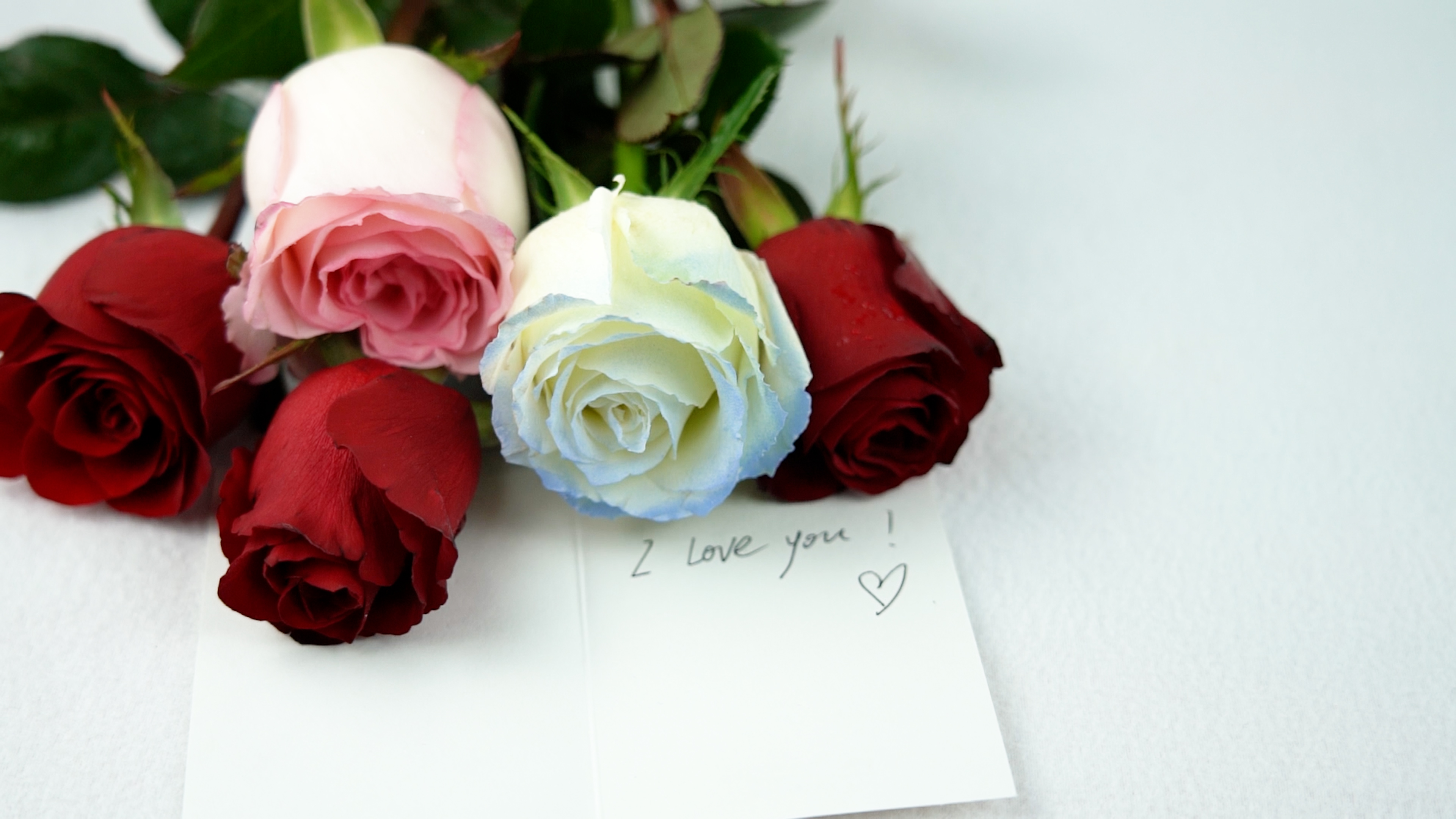 4K情人节玫瑰花卡片表白求婚实拍视频视频的预览图