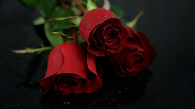 4K情人节红玫瑰表白约会求婚空镜视频的预览图