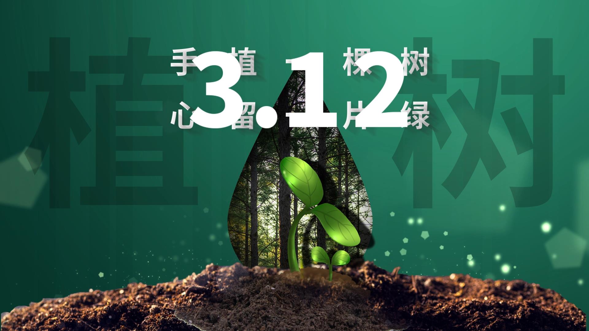 312植树节嫩芽树林绿色保护环境片头AE模板视频的预览图