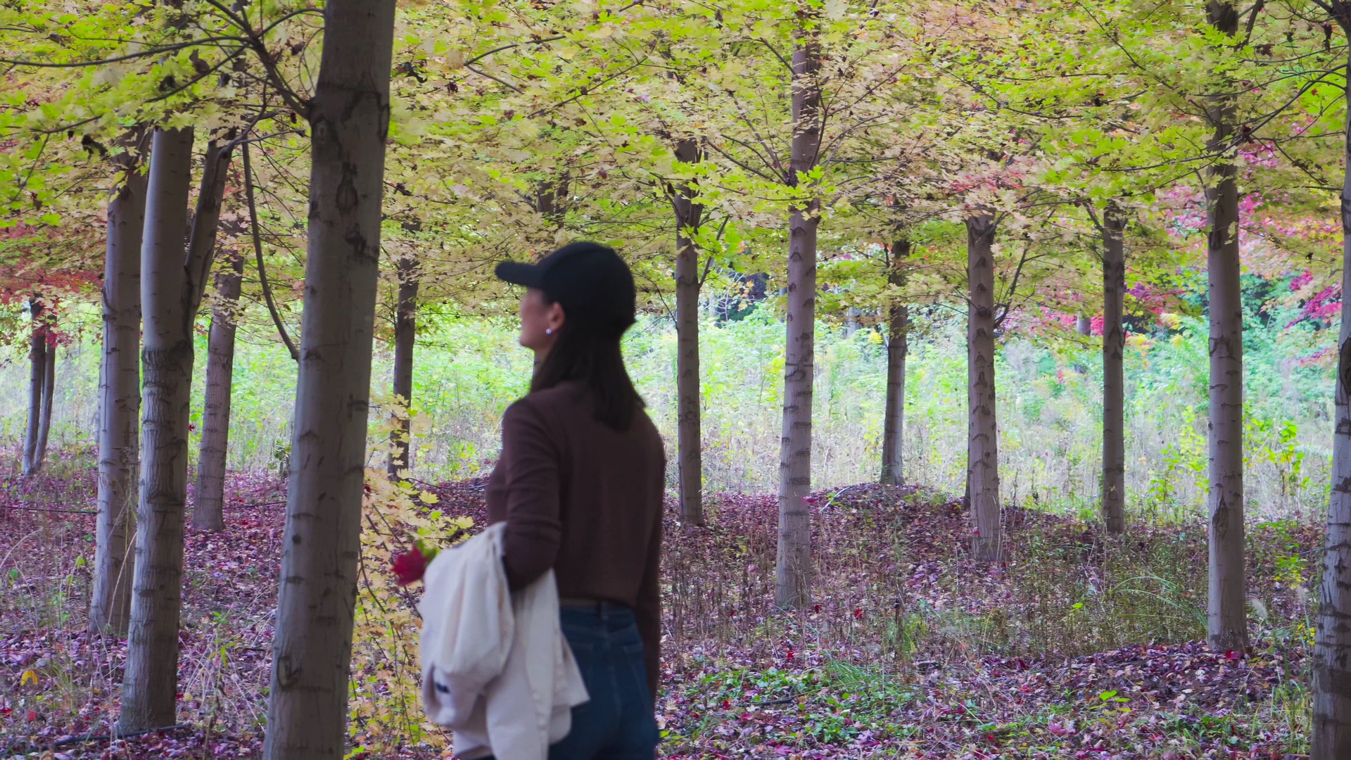 4K实拍女生在树林中漫步视频的预览图