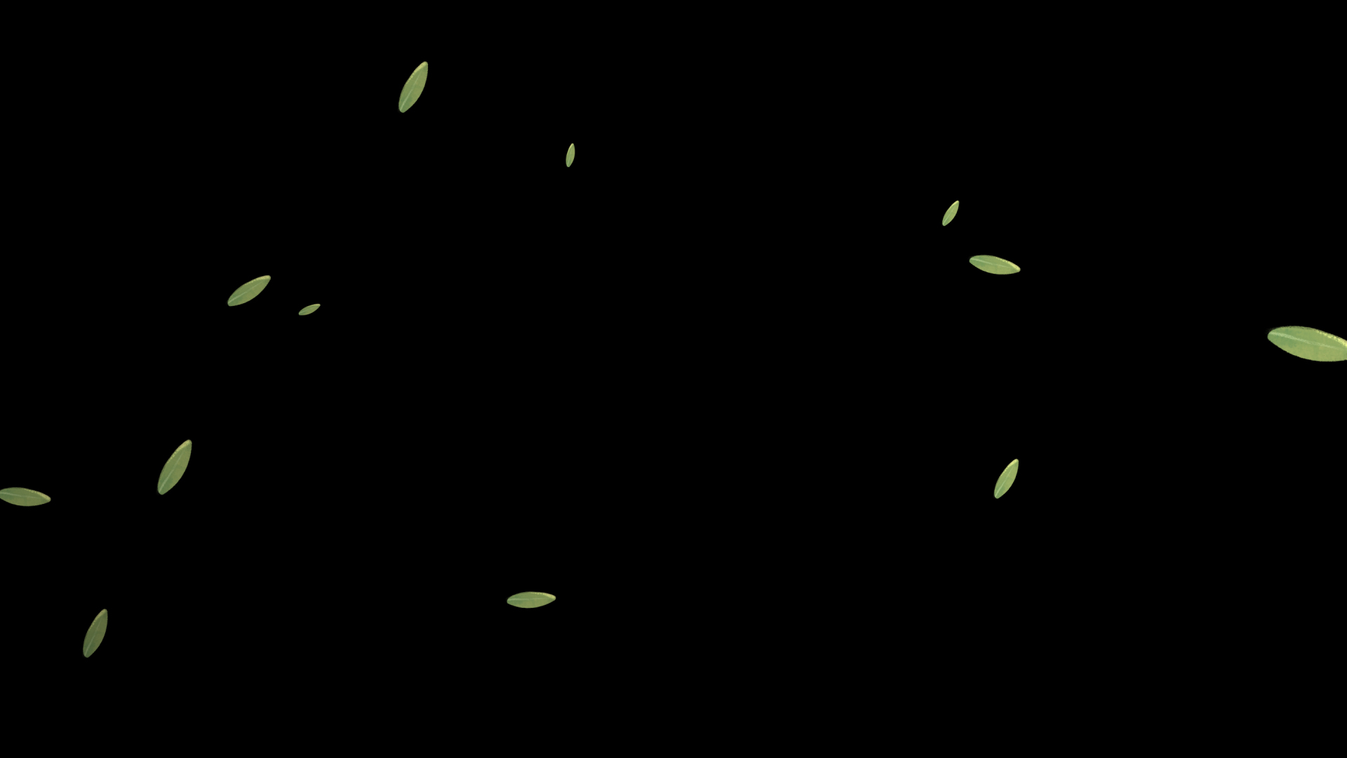 飘落的叶子竹叶动画元素带通道装饰视频的预览图