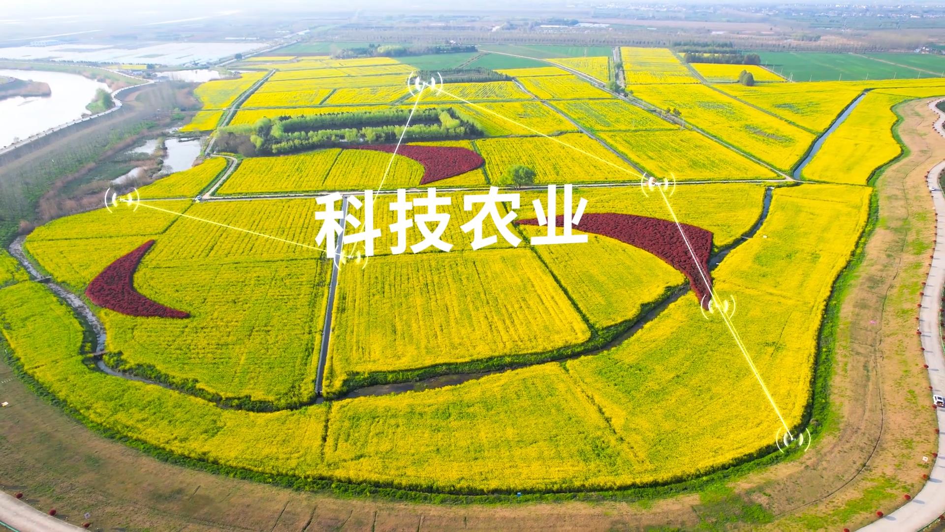 绿色科技农业发展宣传ae模板视频的预览图