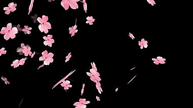 春日春天粉色水彩樱花花朵飘散挂件视频的预览图